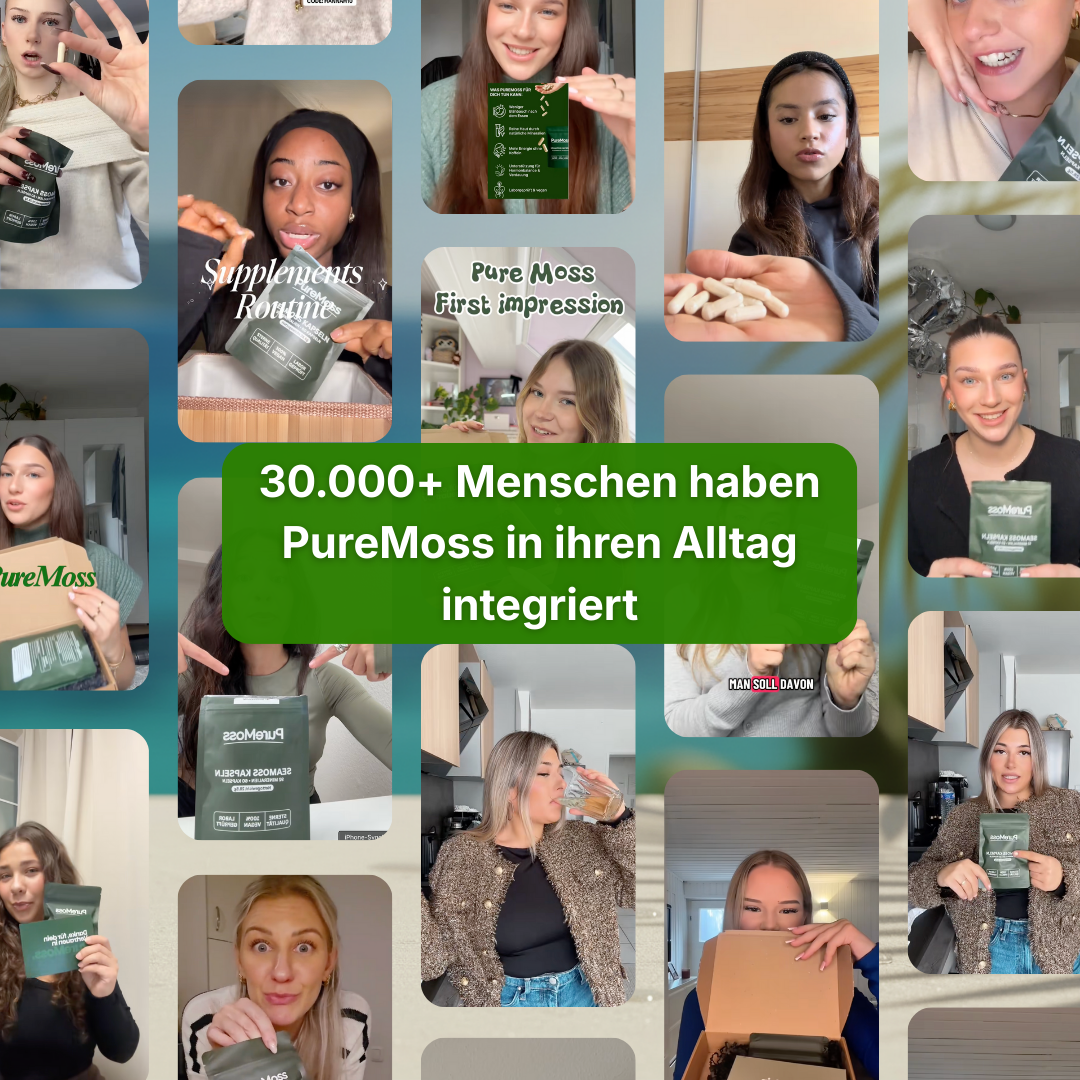 PureMoss Seamoss Kapseln