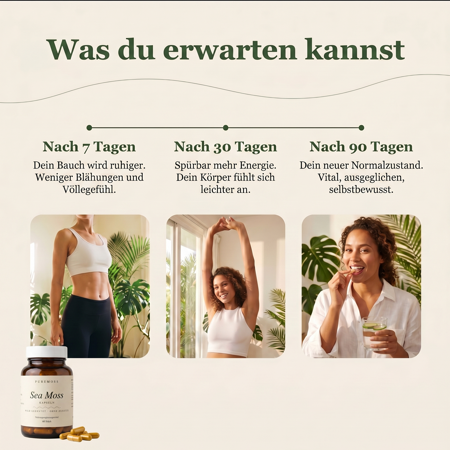 Sea Moss Kapseln Summer Set