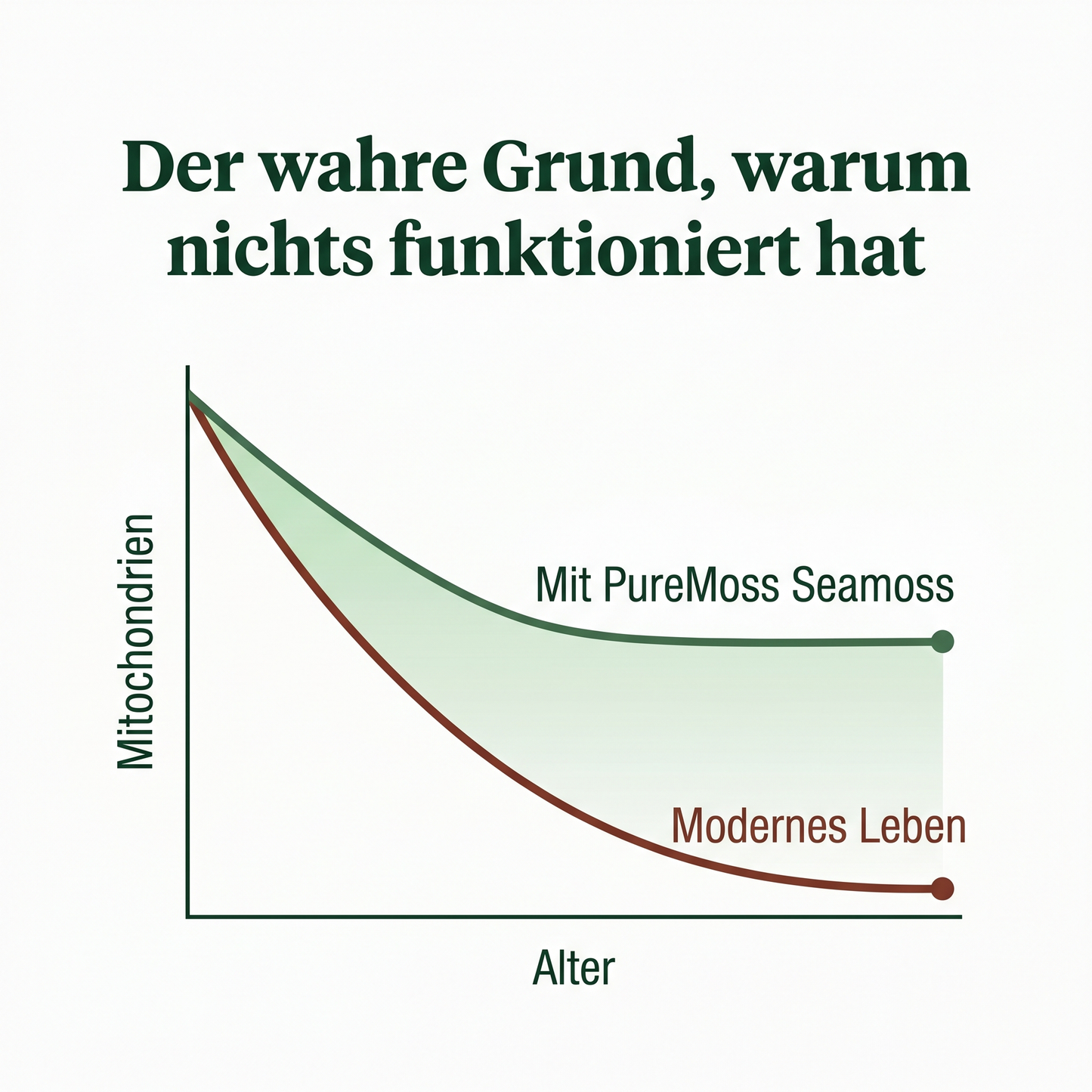 PureMoss Seamoss Kapseln/2