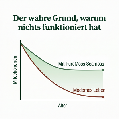 PureMoss Seamoss Kapseln/2